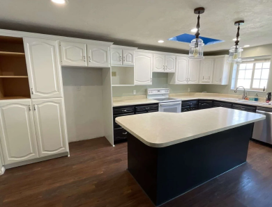 Painter case study